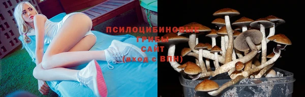 MDMA Premium VHQ Новозыбков