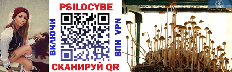 гидра ONION  купить  цена  Чкаловск  Псилоцибиновые грибы мухоморы 